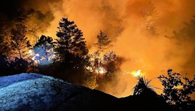 Organizaciones aseguran que no ha sido eficaz respuesta del gobierno de Oaxaca ante incendios