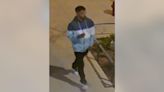 Police seek suspect who dragged woman into West Town alley