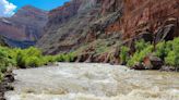 4 bucket list whitewater rafting trips in Colorado