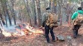 Combaten 200 brigadistas incendios forestales activos en la Sierra