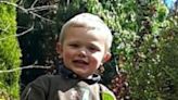 Two charged over three-year-old boy’s dog attack death