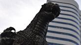 Godzilla Day 2022 to include Godzilla movies, hot sauces and pastrami sandwiches