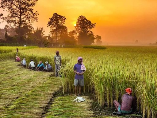 Italy: 2 Indians Arrested For Enslaving 33 Fellow Nationals On Farms In Verona