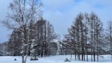 【有影】北海道追雪之旅／解鎖星野TOMAMU 零下七度的白色世界