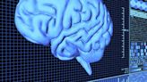 Human brain beats AI with nimble and flexible thinking, study finds