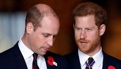 Prince Harry and William dealt heartbreaking blow as family member dies