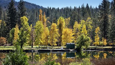 Camp Mather worker, 20, dies on hike in Yosemite National Park