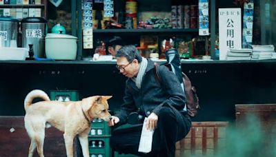 "Hachiko 2: siempre a tu lado" llega a la pantalla grande este 30 de mayo