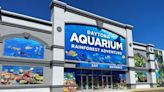 A massive aquarium in Daytona Beach has finally opened to the public