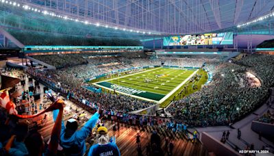 Report: Playing Surface at Jaguars' New Stadium Would Be 'Synthetic Turf'