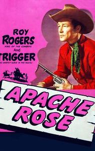 Apache Rose