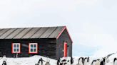 Inside Antarctica’s ‘Penguin Post Office’, The World’s Most Remote Mail Depot - News18