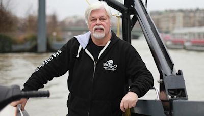 French icon Bardot lashes out at Japan over arrest of anti-whaling activist Paul Watson