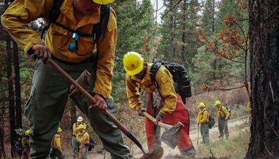 Programa pionero del estado de Washington para convertir a los reclusos en bomberos forestales - La Tercera