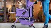 8 Dog Strollers That Let Your Pup Ride in Style