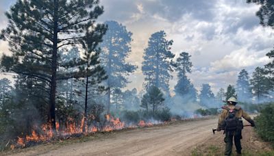 Colorado wildfire update: Crews gain 60% containment on Bucktail fire in Montrose County