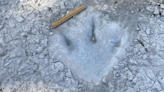 Dinosaur footprints revealed by drought from 113 million years ago