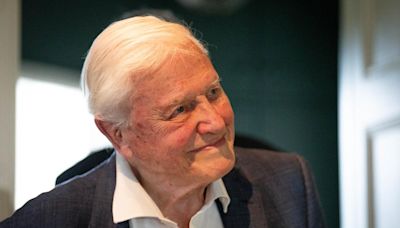 'A feast for the eyes': Sir David Attenborough to present new BBC series Asia