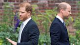 Harry 'doesn't really exist' to William as he 'doesn't have room in his soul'