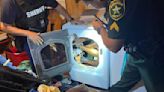 'Folded, not so neatly': Fla. deputies find suspect hiding inside dryer