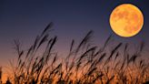 The Harvest Moon Will Peak This Weekend—Here's How and When to See the Last Full Natural Satellite of Summer