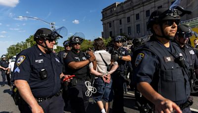 US Police Detain Dozens From Pro-Palestinian Protest At Brooklyn Museum