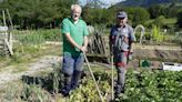 Los huertos de ocio estiran su primavera