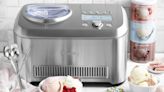 Breville Smart Scoop Ice Cream Maker: easy but expensive