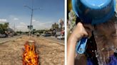 Ola de calor en Guadalajara: ¿Cuánto aumenta la temperatura en la ciudad por falta de árboles?