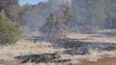 Too many trees in northern Arizona have created a higher fire risk