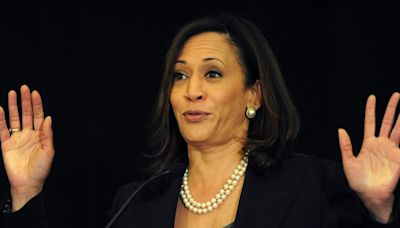 Kamala Harris’ $8 billion 'shoplifting industry' wrecked California