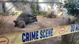 Una academia de Sudáfrica que enseña técnicas forenses contra la caza furtiva