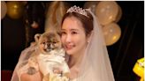 李多海SE7EN婚禮倒數1天 超豪華賓客名單提前曝光