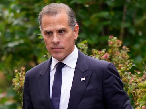 Hunter Biden sought help from US ambassador for Ukrainian company Burisma, lawyer confirms