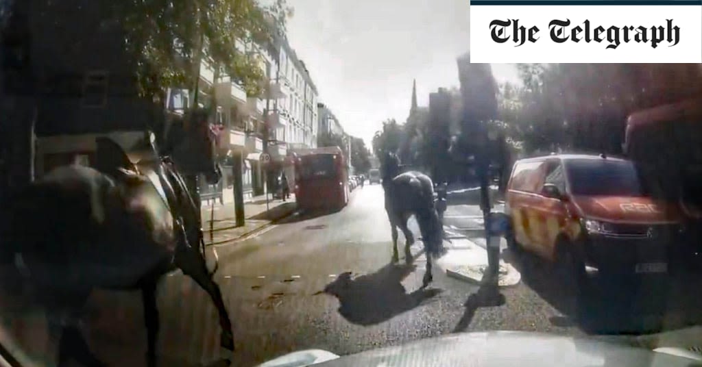 Military horses bolt through central London again after losing riders