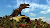 ‘Teenage T. rex’ fossils ‘are a different dinosaur species’