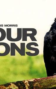 Four Lions