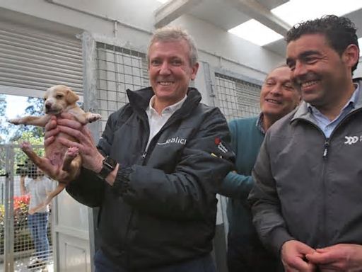 El presidente Alfonso Rueda juega con los cachorros de la CAANEl presidente Alfonso Rueda juega con los cachorros de la CAAN