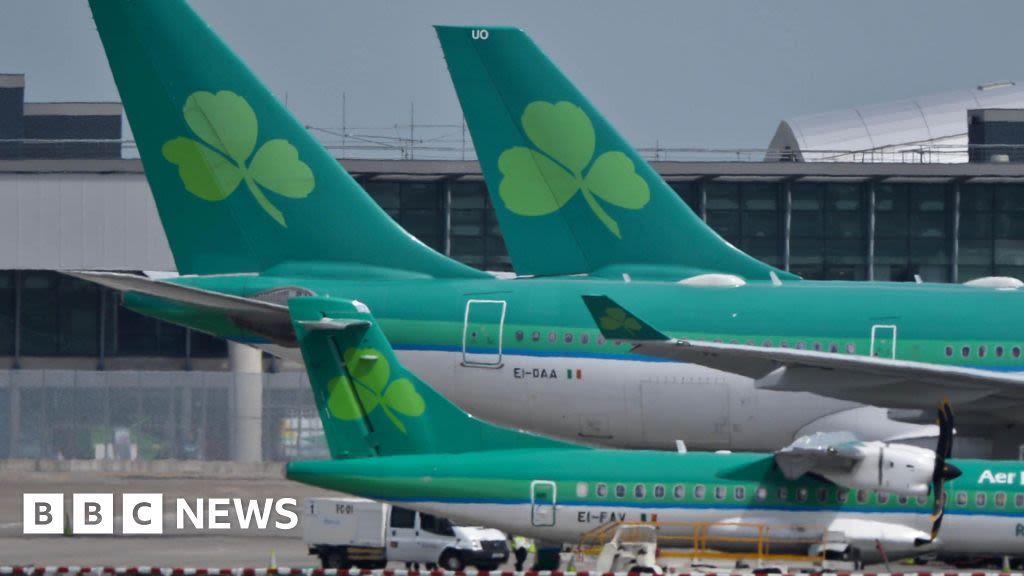 Aer Lingus: pilots consider further work stoppages