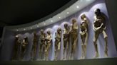 Hallazgo en exhibición de momias en México tiene preocupados a los expertos
