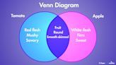 The Venn Diagram: How Circles Illustrate Relationships