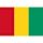 Guinea national football team