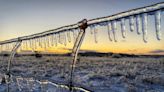 Slick start in parts of southern Ontario sparks bus cancellations