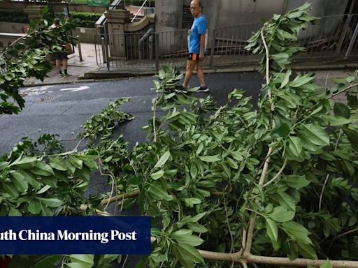 Hong Kong back in business after Super Typhoon Yagi topples trees, injures 9