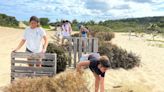 Surfrider Puerto Rico contribuye con restauración de dunas en Miami, Florida