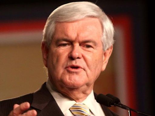 Newt Gingrich inadvertently gives Biden a killer line to use on Trump