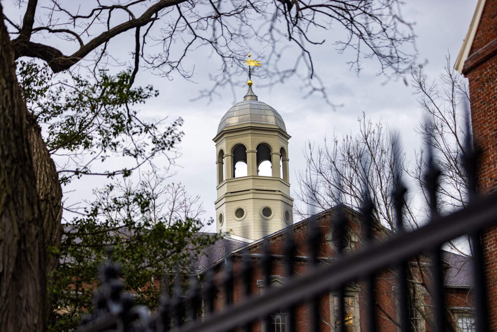 Harvard leaders adopt policy to avoid speaking officially on social, political topics