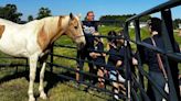 Fort Wayne Children’s Zoo horses now at summer camp