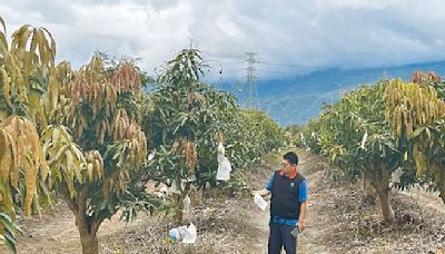 氣溫忽冷忽熱 農漁產量歉收 - 生活新聞