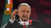 AMLO hizo campaña en “mañaneras” incluso antes de que comenzara el proceso electoral, determina Tribunal